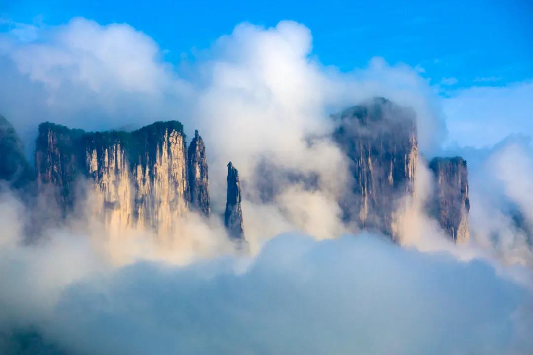 1617937400530320.jpg 微信图片_20210409110317.jpg