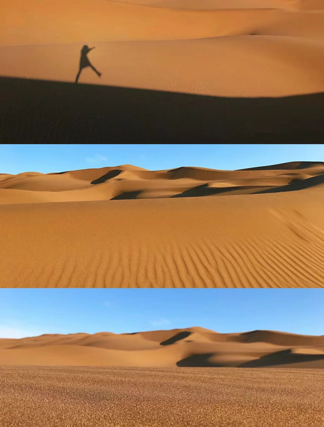 1776676821330531.jpg 3e443d6f3eda9f03bc62ec727462250d.jpg
