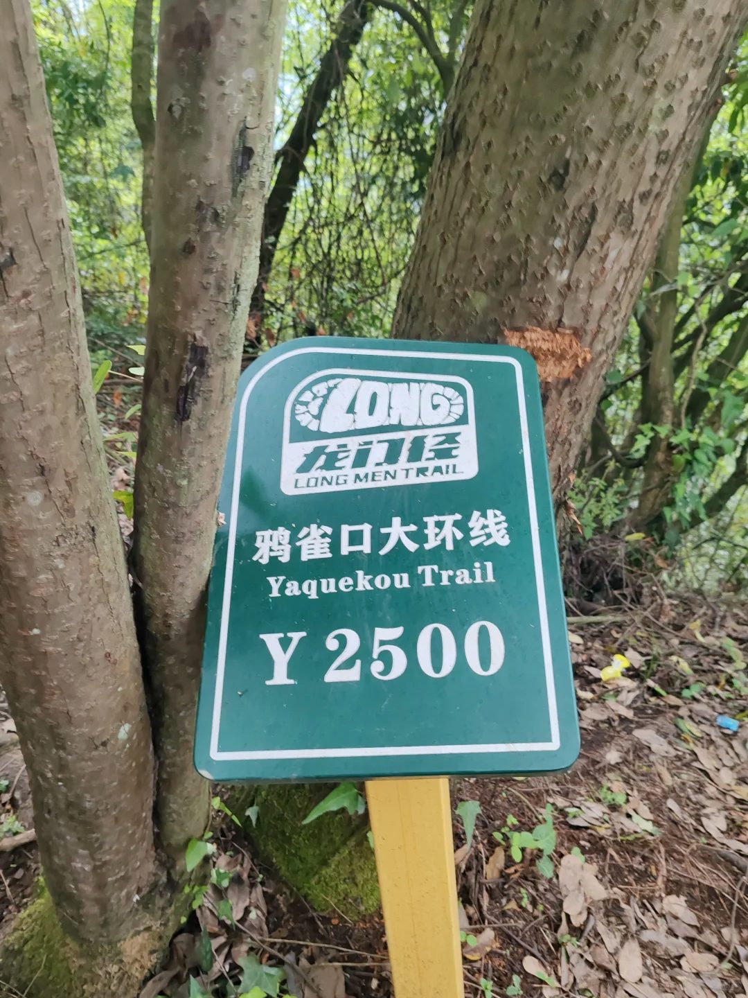 1778308528654692.jpg 6.jpg
