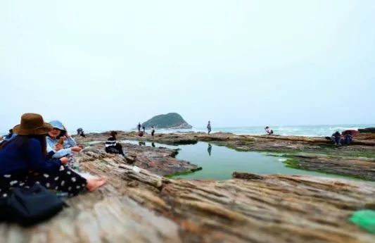 (2)徒步穿越惠州醉美黑排角，行摄原始海岸线，捡贝壳，抓螃蟹-户外活动图-驼铃网