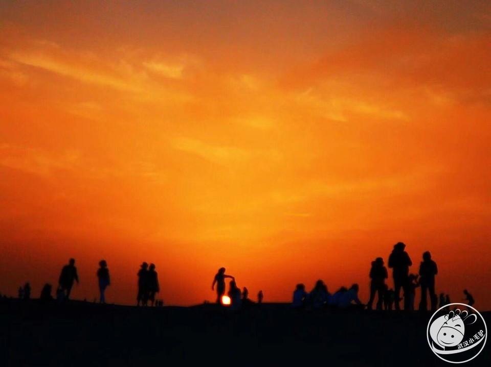 QQ图片20190216212045