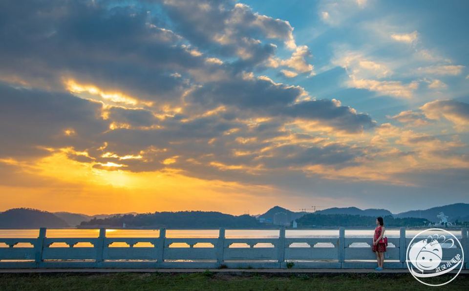 QQ图片20190220230401