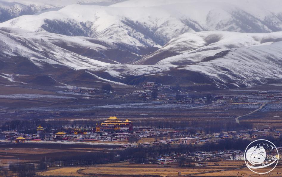 QQ图片20180824000629