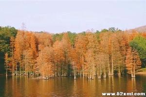 2018年12月9号童话秋日 层林尽染 奔赴蔡甸九真 休闲摄影一日游