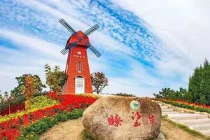 2018年11月11日 英山四季花海·中华情园赏花一日游