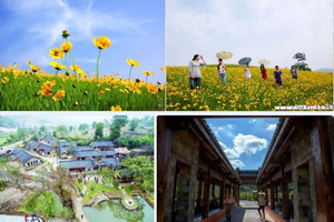 2018年5月27日 大悟花山休闲摄影 漫山遍野金盏菊 古朴田园风情金岭古村 特惠99元1日游