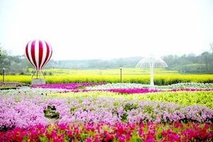 2018年5月19日 木兰花乡主题乐园（免门票） 鸟语林 最美乡村葛家湾 特价79元休闲1日游