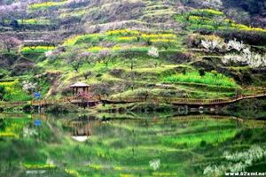 2019年3月24日 大冶沼山小婺源 桃红梨白 梯田桃花源 油菜花 木栈道漫步 休闲踏青 特惠95元1日游