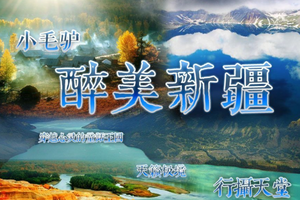 【醉美新疆】2019年6月8-18日 特惠3280 北疆大环线10日游 天山天池 喀纳斯 禾木 赛里木湖 伊犁草原 沙漠