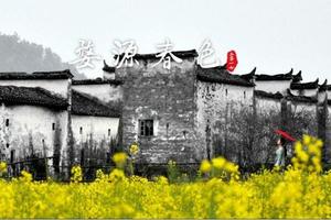 2018年3月24-25日 遇见婺源 回归原味 徒步徽饶古道 共享花海盛宴 宿千年古村 特价398休闲2日游