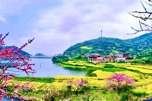 2026年3月14日 湖北“小婺源” 桃红梨白 梯田桃花源 油菜花 木栈道漫步 休闲踏青 1日游