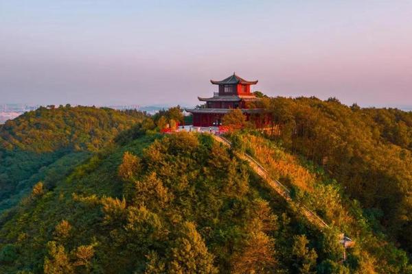 2024年12月8日 网红九真山  深秋层林尽染 观水上红杉林  呼吸天然氧吧 登高观景一日游