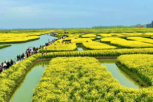 2026年3月22-25日 烟花江南 扬州古城水乡 水上花海 南京秦淮河 泰州老街 三河古镇 阳春4日游（VIP车）