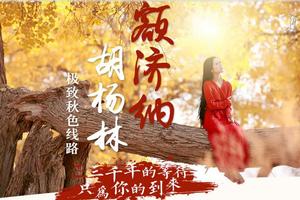 2018年10月7-10月13日 额济纳胡杨林 黑城遗址 怪树林 冰沟丹霞 永泰龟城 7日深度游