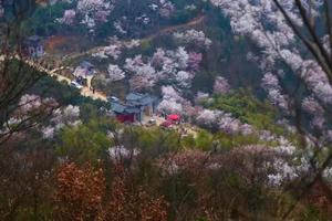 2019年3月21日 特惠90元 赤壁葛仙山 徒步浪漫樱花海 访道教秘境 户外登山1日游