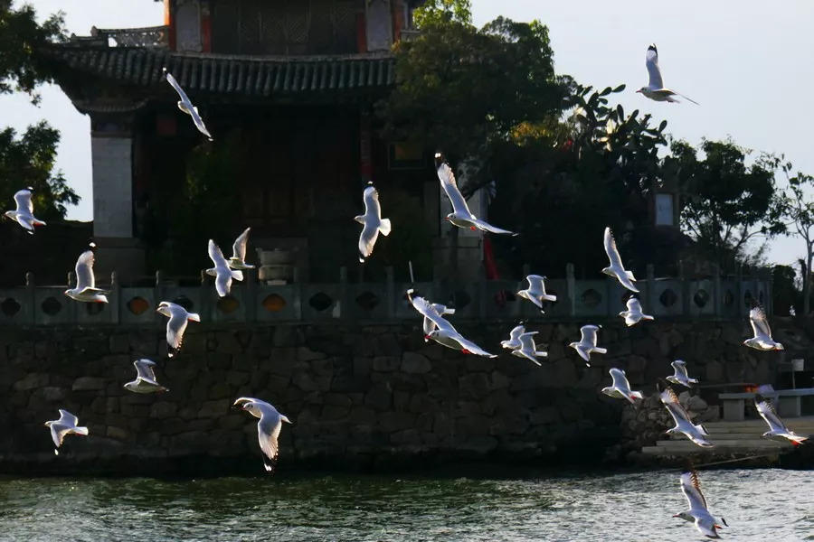 无远不达 无险不及—丙察察-川藏-滇藏-泸亚 三江并流超级大环线