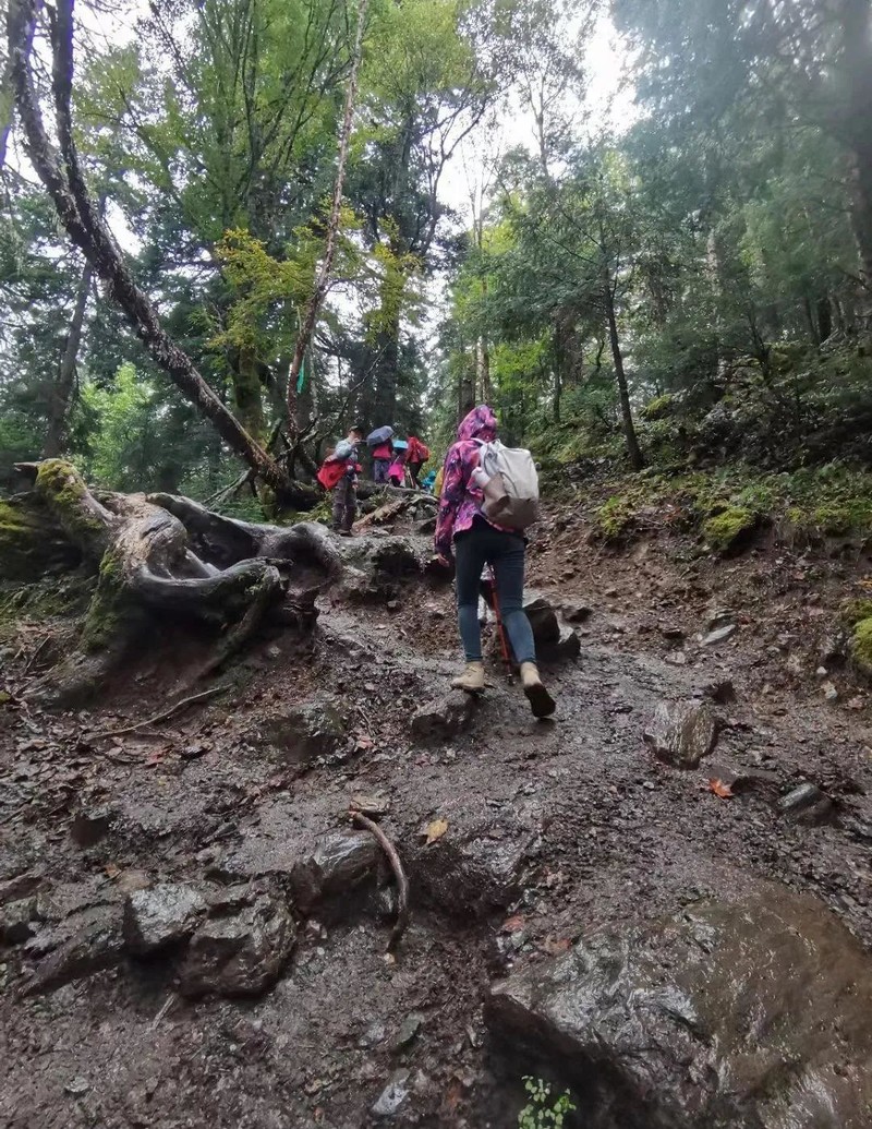 跋山涉水