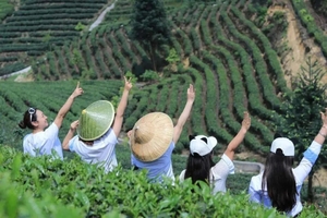 【梵路定制||牛碾坪采茶】1日游 茶中有花、梯次开放!