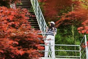 【梵路定制||柒月麓山】1日游  徒步天梯，十里竹海，游太平水库.