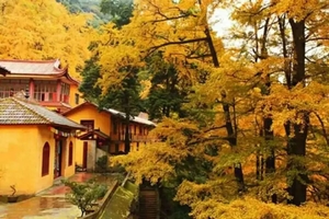 【梵路定制||白岩寺】1日游 行摄参天古银杏，探秘精致佛塔，体验藏地风格！