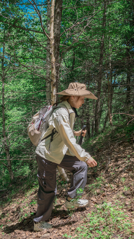 微信图片_20240528101410