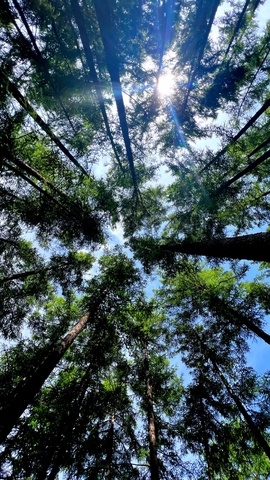 微信图片_20240528101424