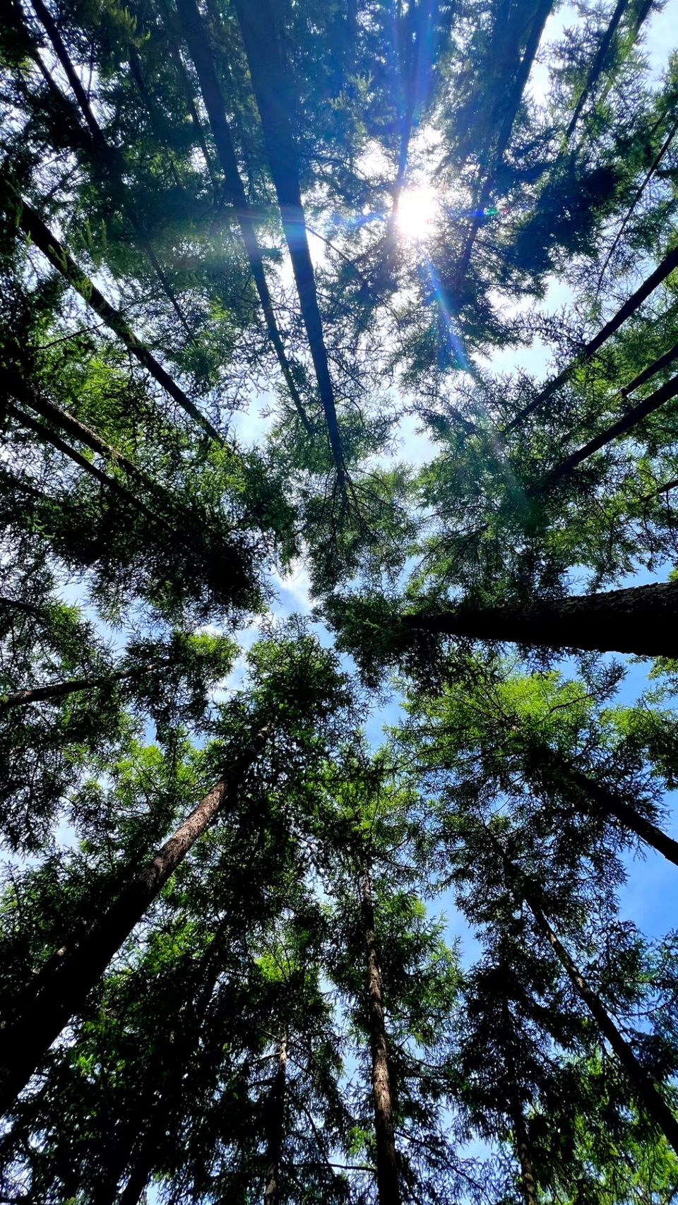 微信图片_20240528101424