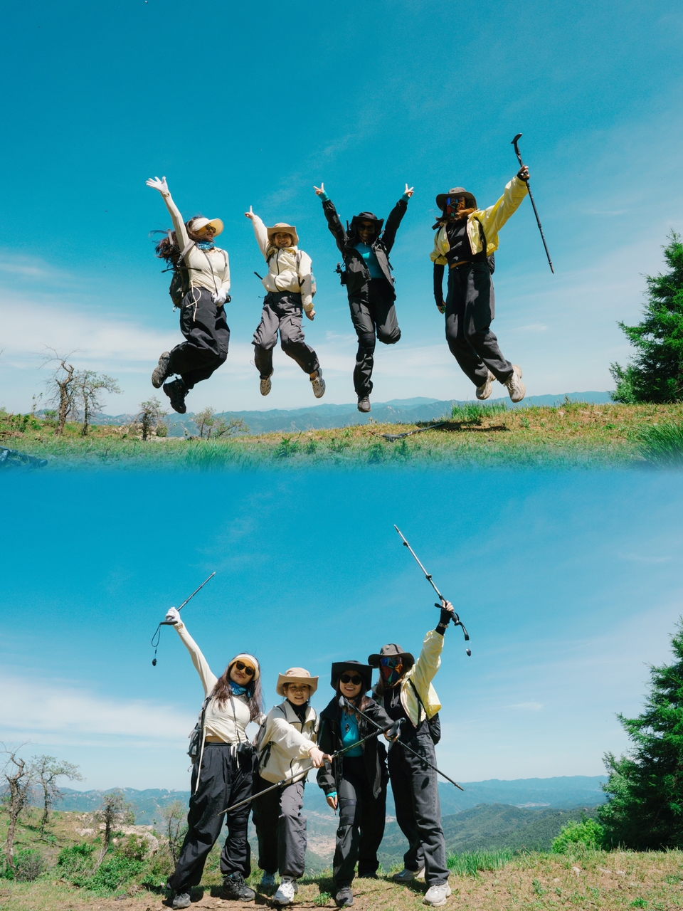 微信图片_20240528101443