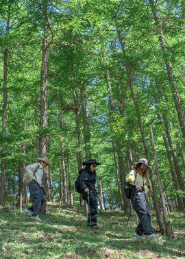 微信图片_20240528101506