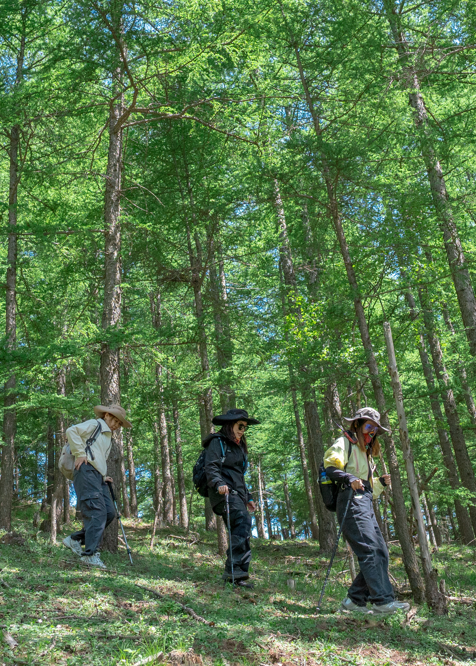 微信图片_20240528101506