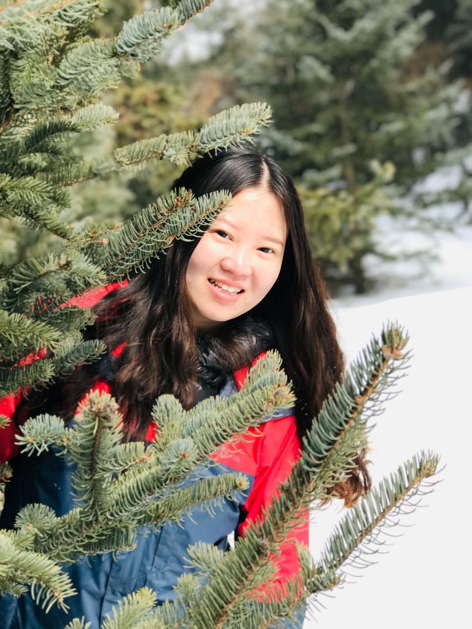 mmexport1551680838145