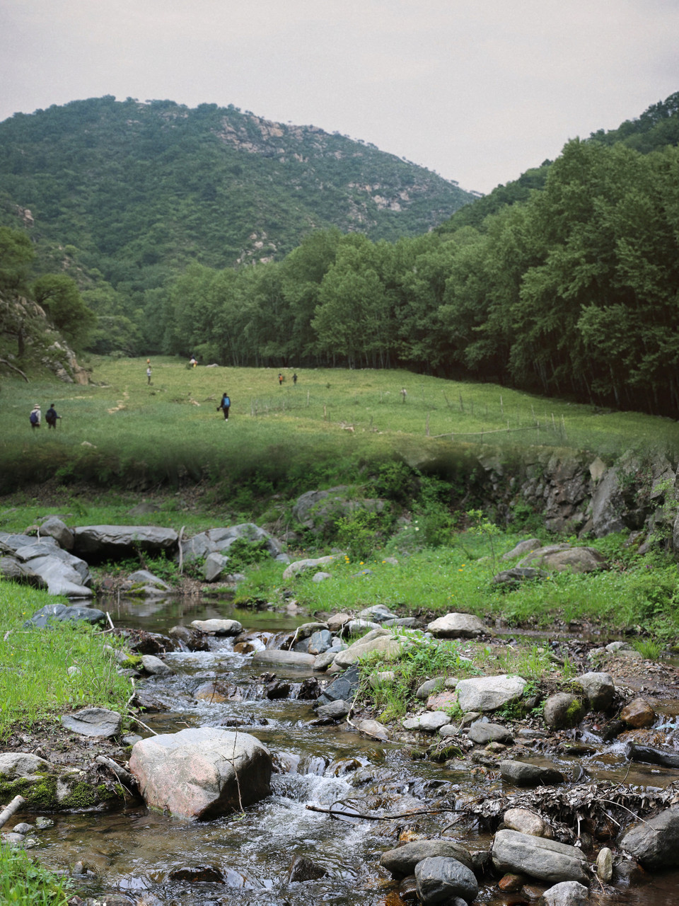 微信图片_20230601162420