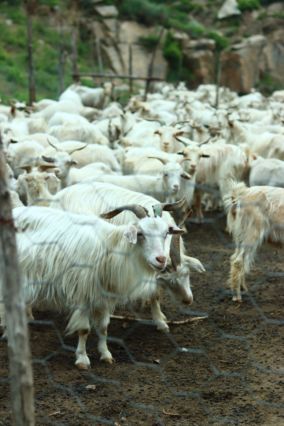 微信图片_20230601162456