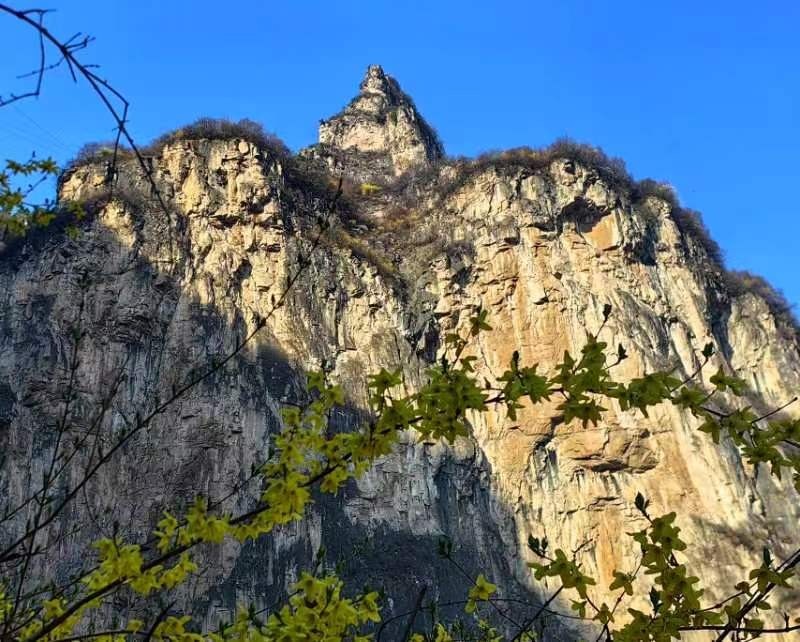 mmexport1712393803183