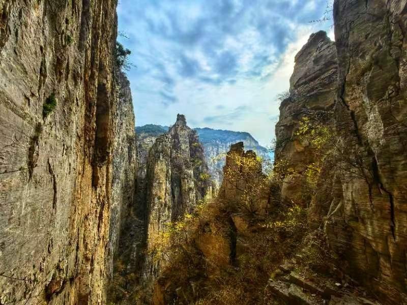 mmexport1712393924133