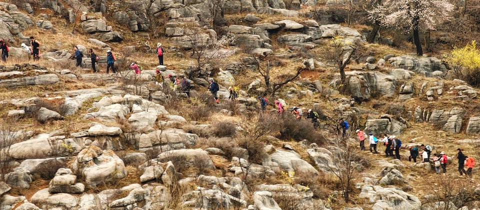 mmexport1712393882624