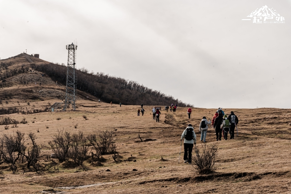 mmexport1731925101237