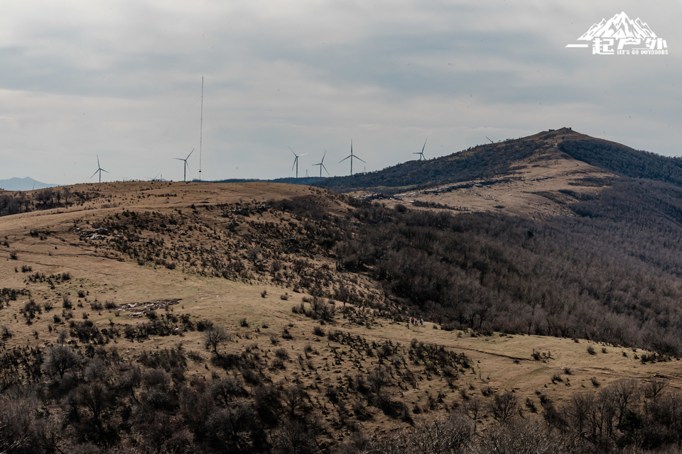 mmexport1731924391944