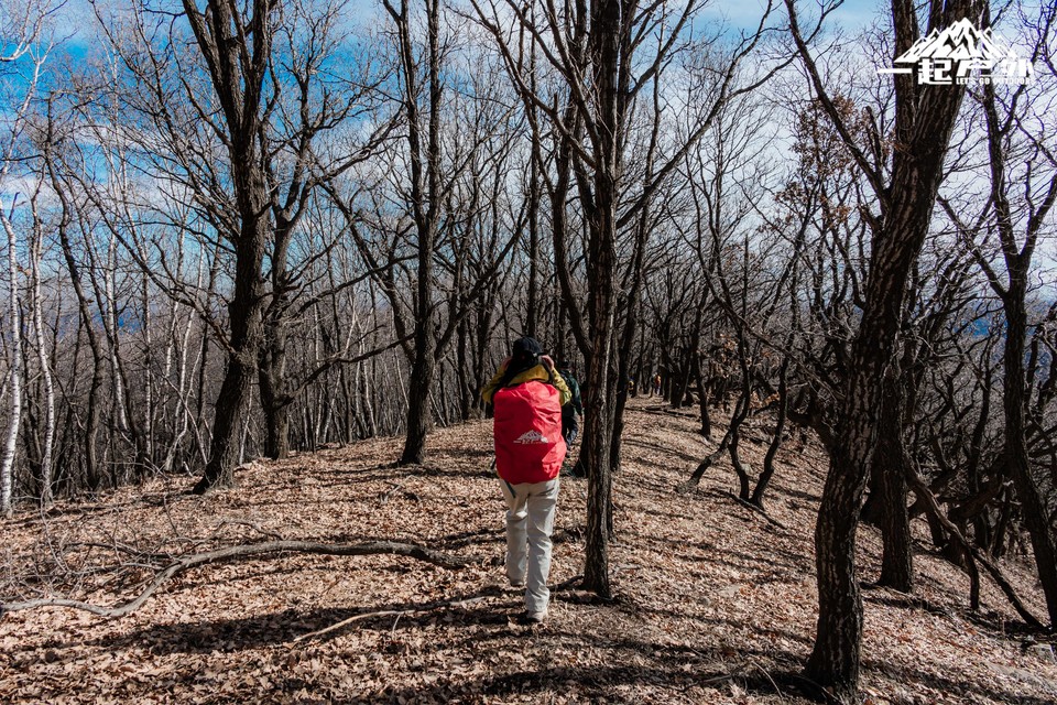 mmexport1731924250201