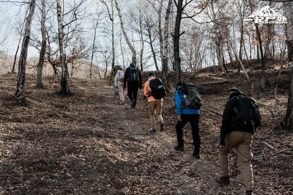 mmexport1731932106907