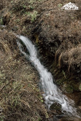 mmexport1732980776766