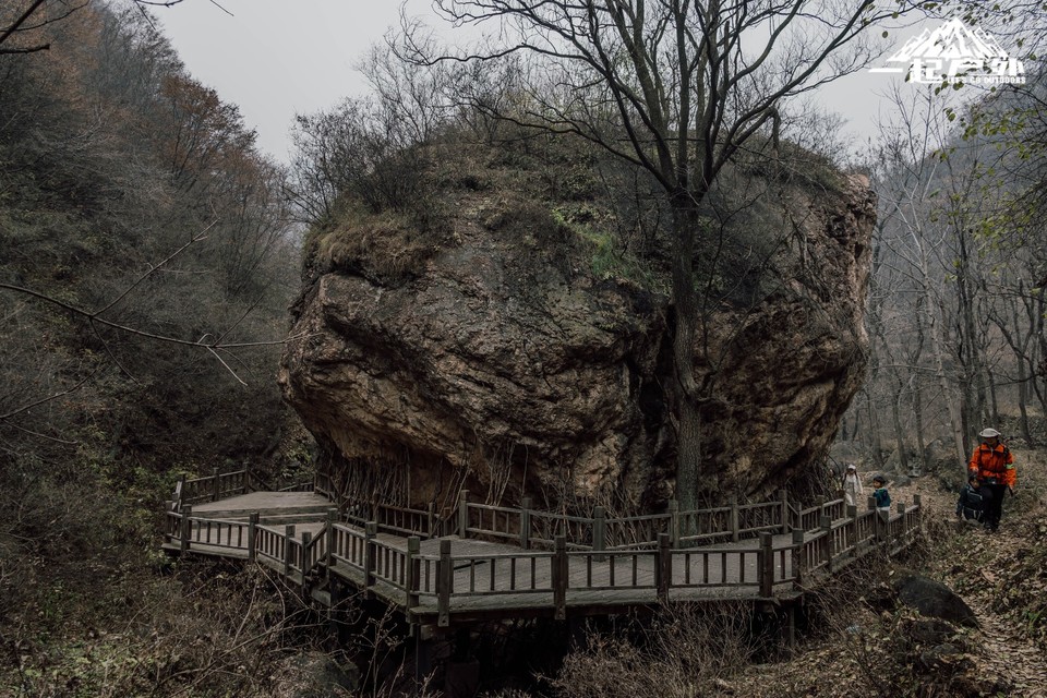 mmexport1732980767595