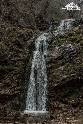 mmexport1732980743977