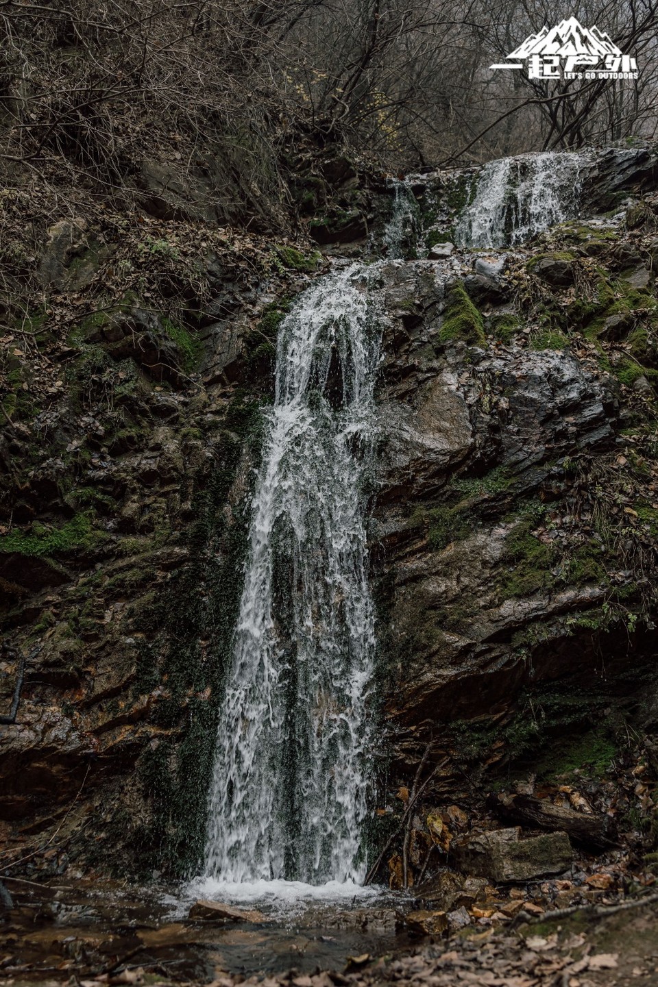 mmexport1732980743977