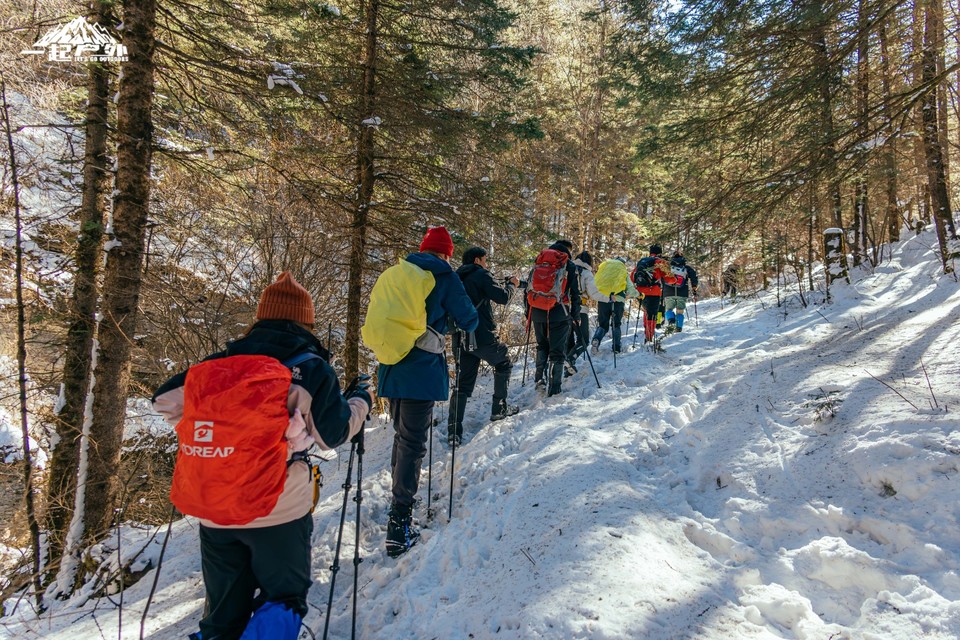 mmexport1733099756816