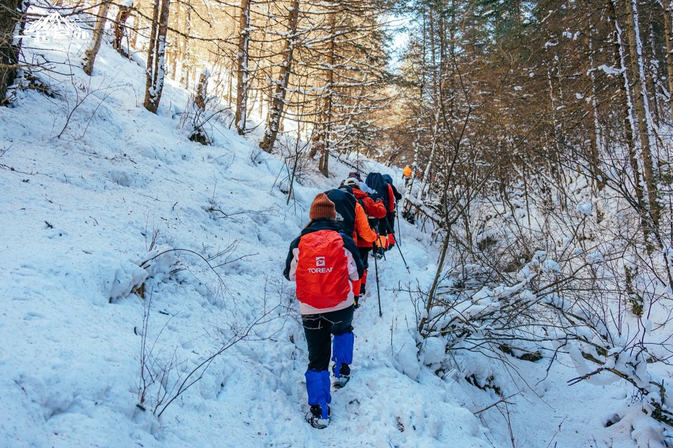 mmexport1733099420798