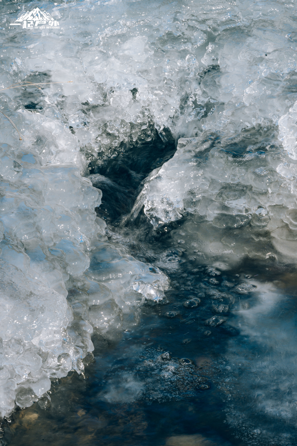 mmexport1733585545712