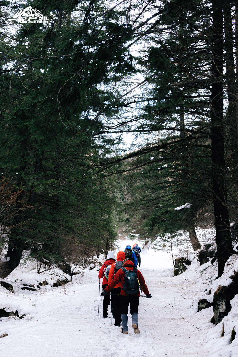 mmexport1735488759501