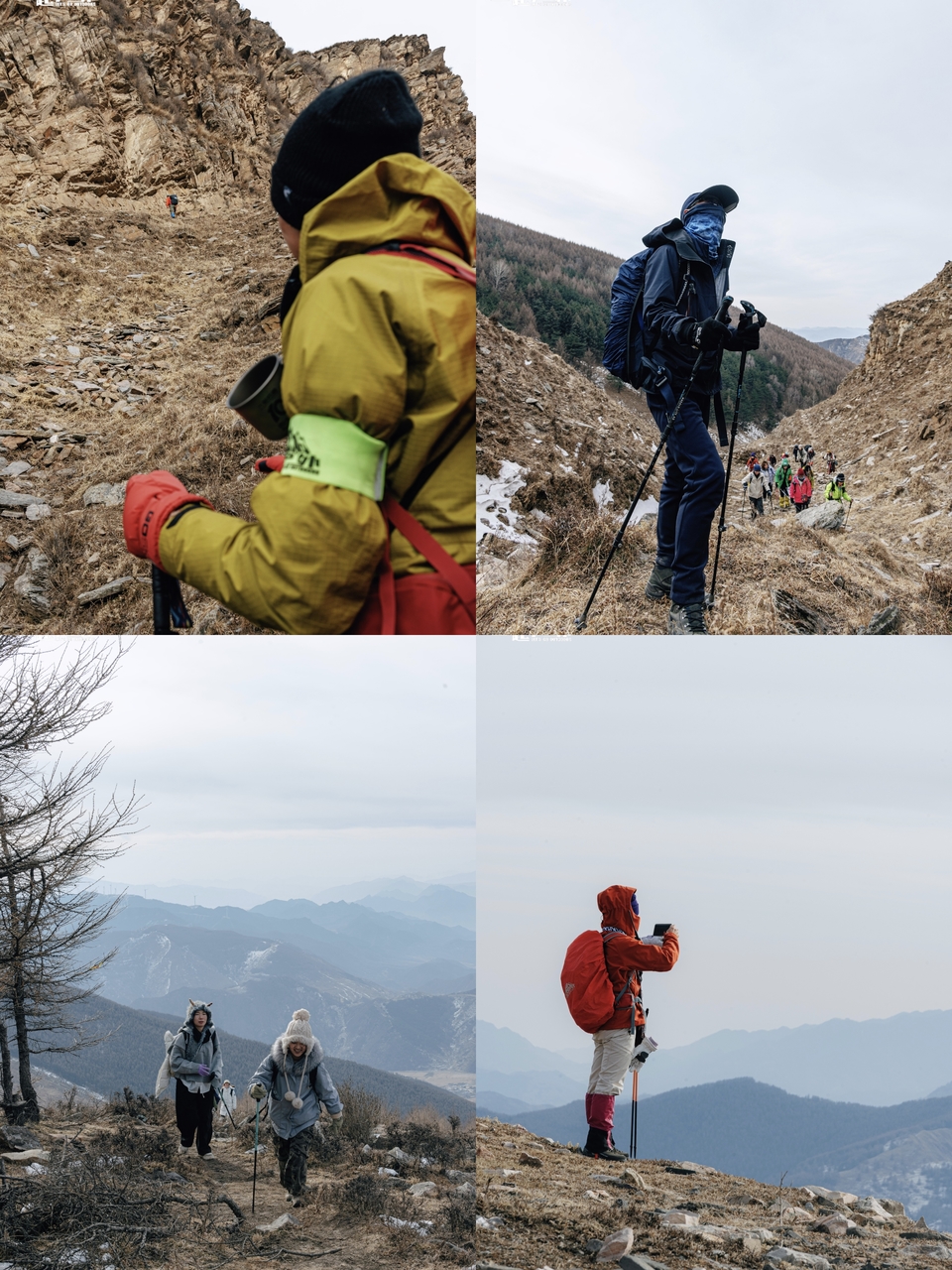 微信图片_20250102095536