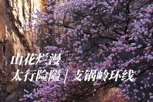 山花烂漫｜太行险隘–支锅岭环线